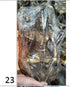 Brass Lord Shiva statue(AISN 23)