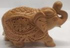 Elephant D/Cut UT