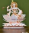 Krishna CF