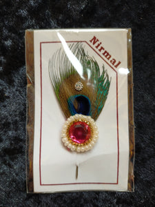 Peacock Feathers (Various sizes)