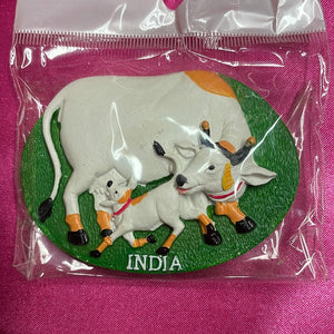 Ceramic India Fridge Magnet