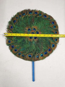 M Peacock Feather Fan